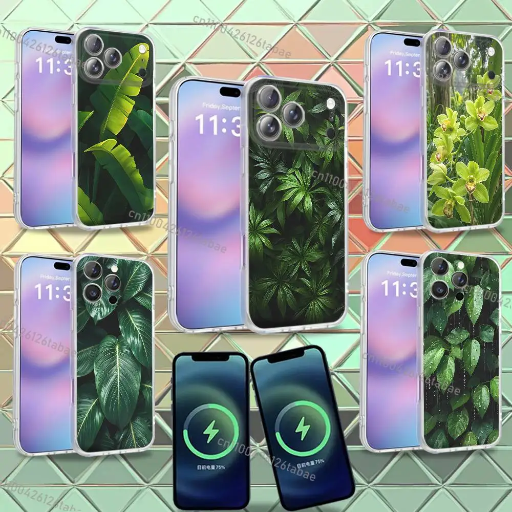 INS Elegant Tropical Leaves For iPhone 17,12,11,14,13,15,16,Plus,Air,Pro,Max,E,Mini for Magsafe Magnetic Frosted Phone Case
INS Elegant Tropical Leaves For iPhone 17,12,11,14,13,15,16,Plus,Air,Pro,Max,E,Mini for Magsafe Magnetic Frosted Phone Case