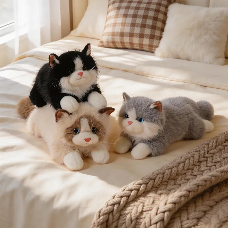 Ragdoll Cat Plush Toy Soft Fluffy Stuffed Animal Doll Multi Colors Size Home Decor Perfect Gift Choice for Cat Lover
Ragdoll Cat Plush Toy Soft Fluffy Stuffed Animal Doll Multi Colors Size Home Decor Perfect Gift Choice for Cat Lover