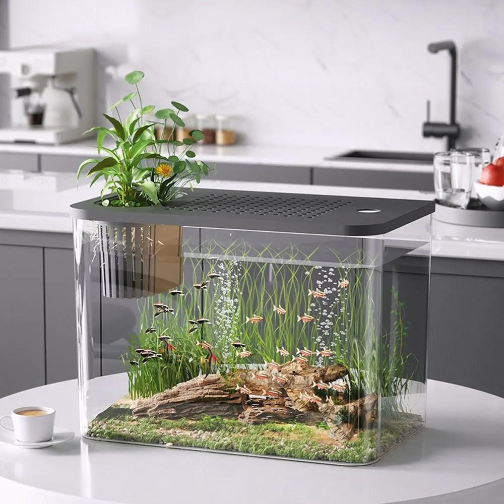 Creative Transparent Fish Tank Small with Lid Hydroponic Fish Bowls Drop Resistant Betta Aquarium Tank For Home Decorative
Creative Transparent Fish Tank Small with Lid Hydroponic Fish Bowls Drop Resistant Betta Aquarium Tank For Home Decorative