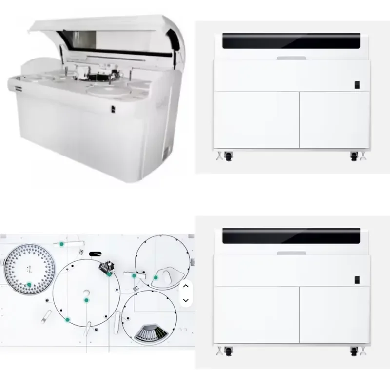 26 PS800 High-Precision Fully Automatic Veterinary Diagnostic Equipment Biochemistry for Multi-Item Clinical Testing
26 PS800 High-Precision Fully Automatic Veterinary Diagnostic Equipment Biochemistry for Multi-Item Clinical Testing