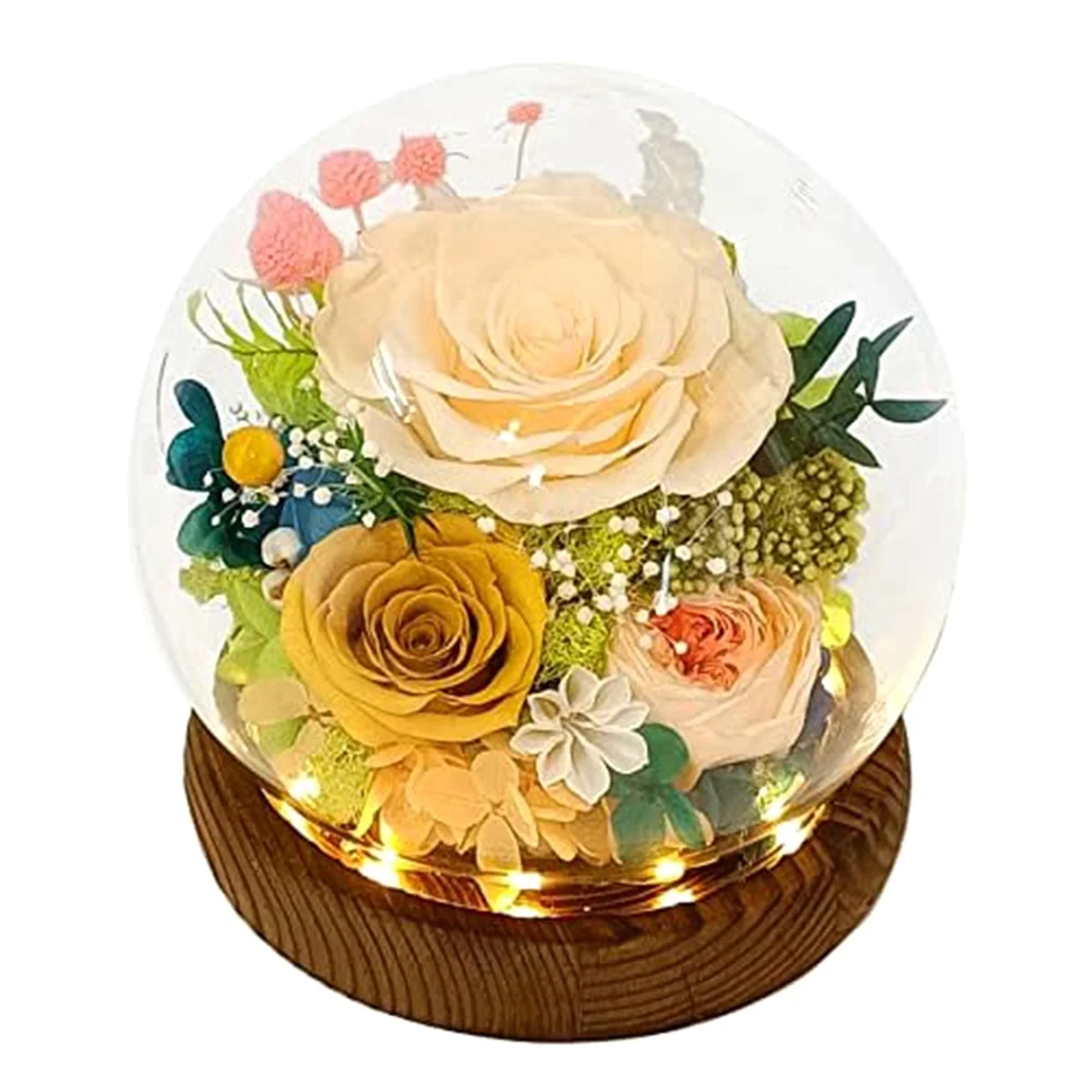 Long-Lasting Real Flowers, Floral Gift to You for Send Love for , for Indoor Decoration
Long-Lasting Real Flowers, Floral Gift to You for Send Love for , for Indoor Decoration