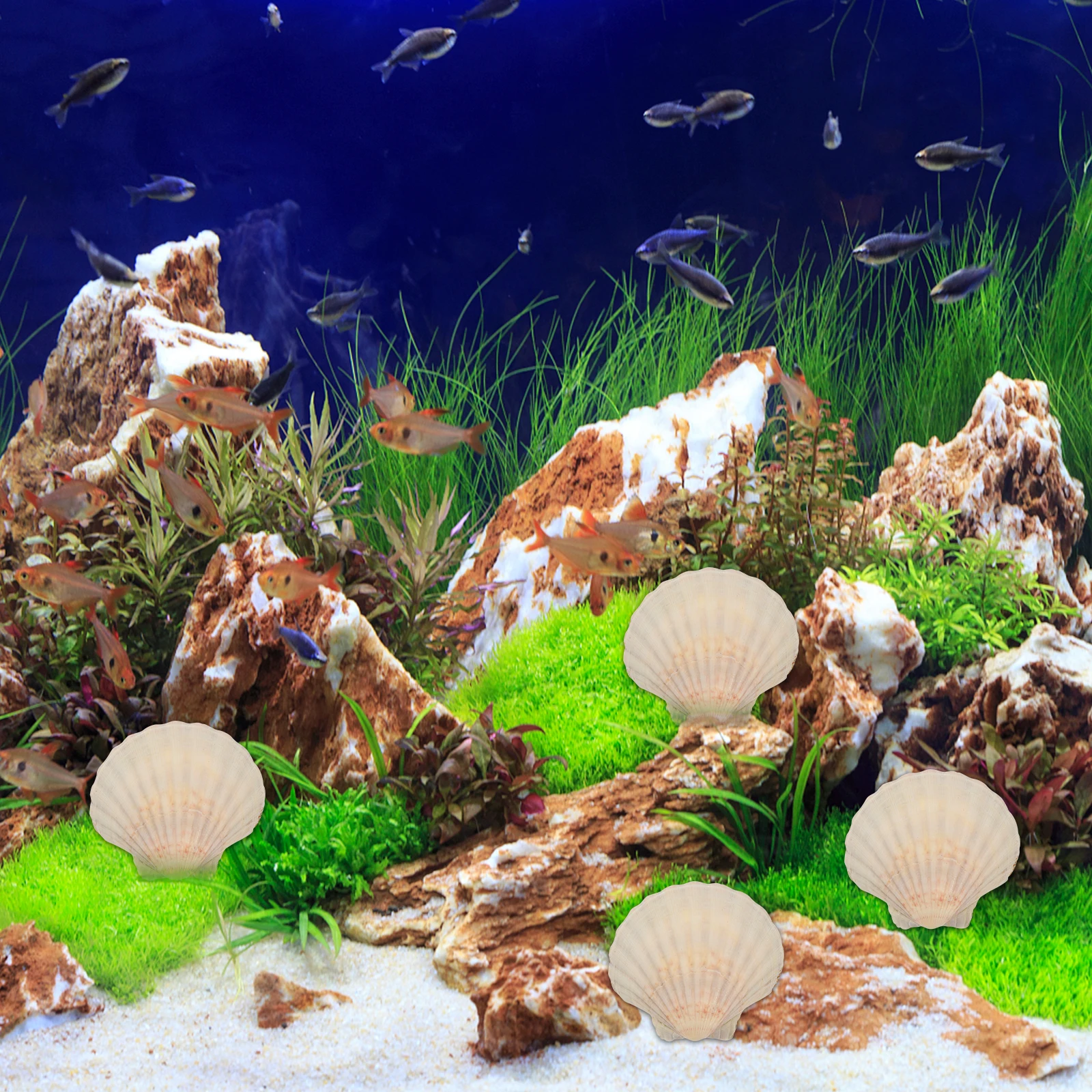 10Pcs White Natural DIY Handicraft Accessory for Aquarium Decorative Crafts Fish Tank Landscaping Ornament Set
10Pcs White Natural DIY Handicraft Accessory for Aquarium Decorative Crafts Fish Tank Landscaping Ornament Set