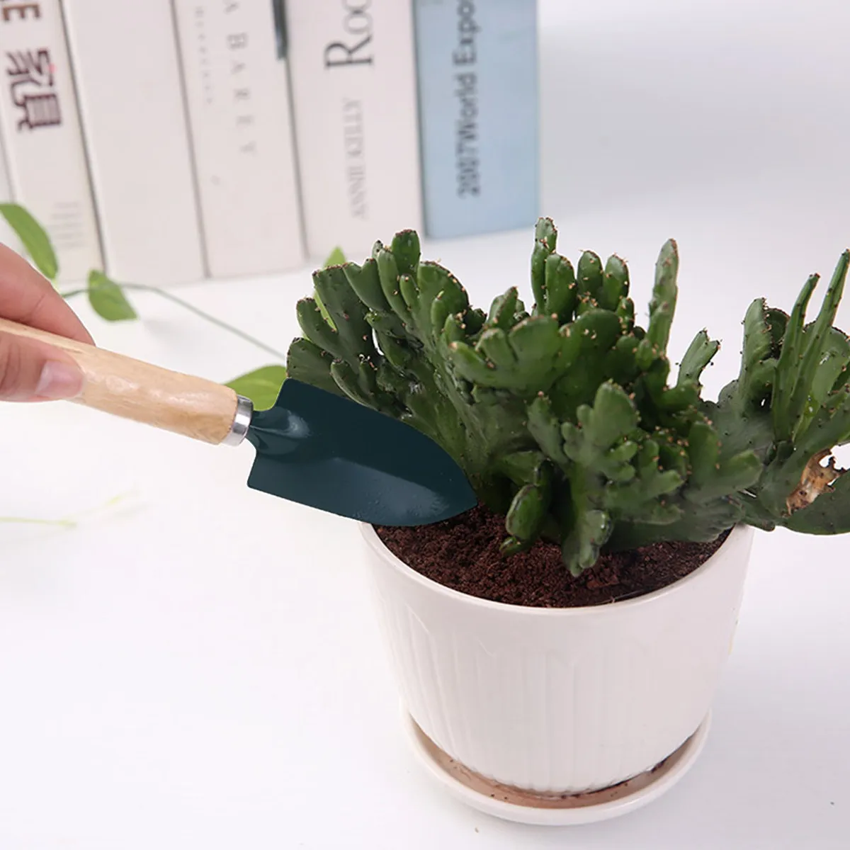 3Pcs Mini Garden Tool Set Shovel Rake Trowel Small Indoor Gardening Tools for Flowers Bonsai Weeding Loosening Soil
3Pcs Mini Garden Tool Set Shovel Rake Trowel Small Indoor Gardening Tools for Flowers Bonsai Weeding Loosening Soil