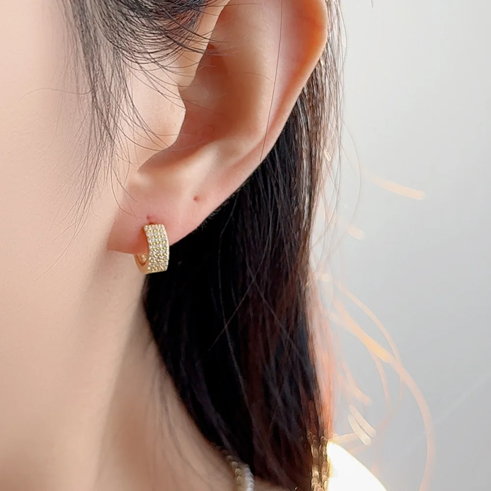 Three Rows Of Zircon Earrings Women's S925 Fashion Temperament Earrings Light Luxury
Three Rows Of Zircon Earrings Women's S925 Fashion Temperament Earrings Light Luxury