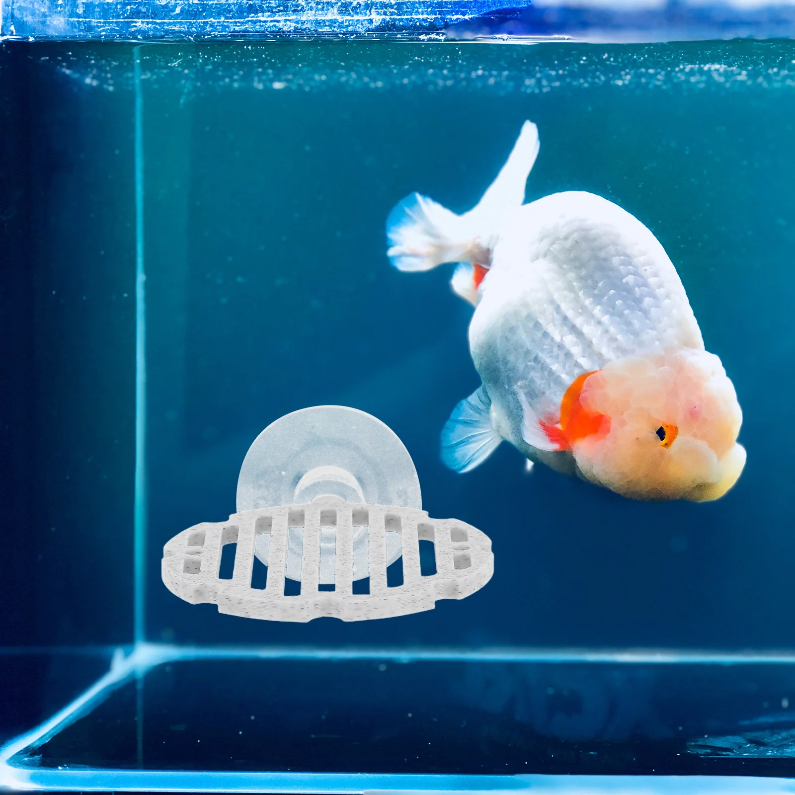 Betta Fish Hammock 3D Printing Technology Unique Design Aquarium Decor Easy to Maintain Long-Term Use Comfortable Resting Space
Betta Fish Hammock 3D Printing Technology Unique Design Aquarium Decor Easy to Maintain Long-Term Use Comfortable Resting Space