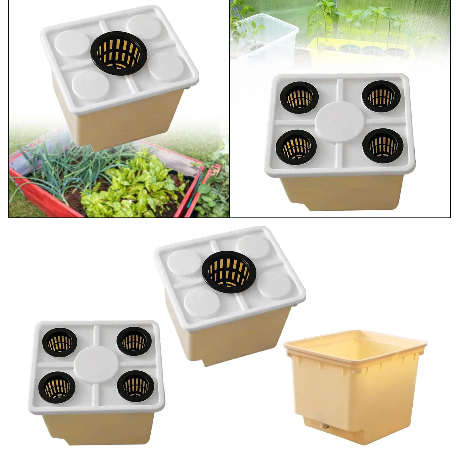 Ведро для гидропоники с сифонными локтями 12HX10x9 дюймов, кашпо для роста овощей для теплицы, легкий многофункциональный
Ведро для гидропоники с сифонными локтями 12HX10x9 дюймов, кашпо для роста овощей для теплицы, легкий многофункциональный