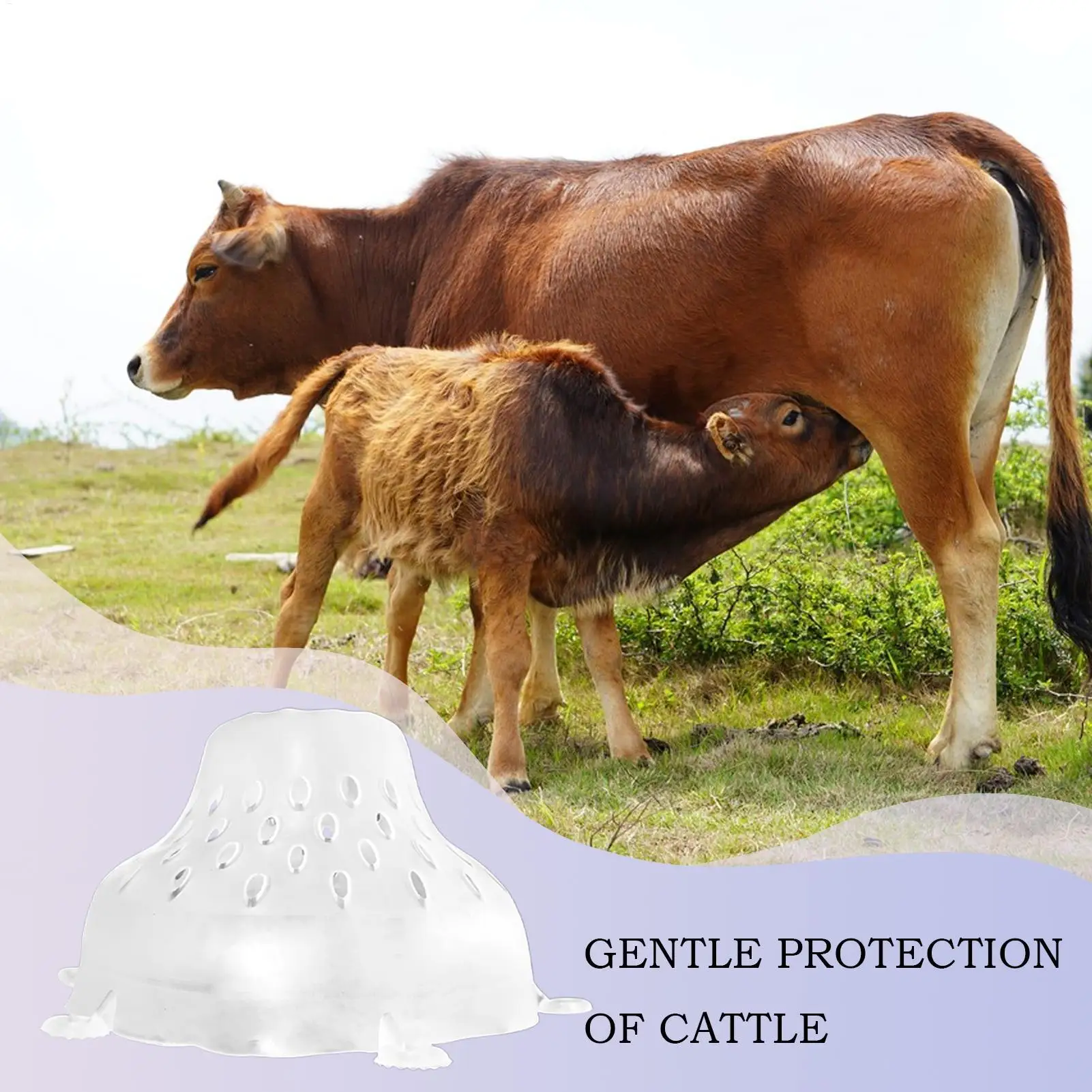Cow Weaning Hood Soft Cattle Cow Weaning Tool Clear 6 Tether Holes Breast Shell Milking Stop Breeding Tool For Poultry Farm &
Cow Weaning Hood Soft Cattle Cow Weaning Tool Clear 6 Tether Holes Breast Shell Milking Stop Breeding Tool For Poultry Farm &