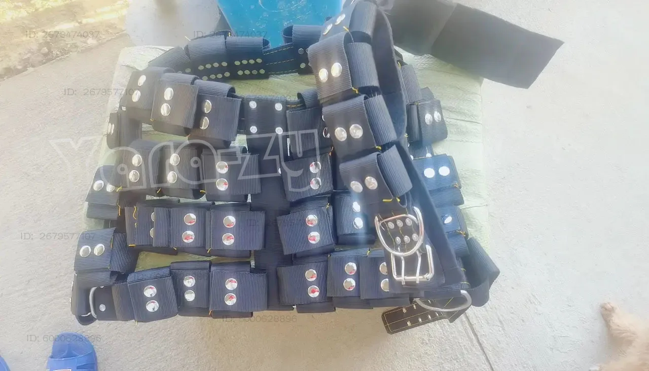 S-XL Empty Shell Weight Carrying Strap Workout Vest with Pockets Muscle Power Training Dog Harness For Large Medium Small Dogs
S-XL Empty Shell Weight Carrying Strap Workout Vest with Pockets Muscle Power Training Dog Harness For Large Medium Small Dogs