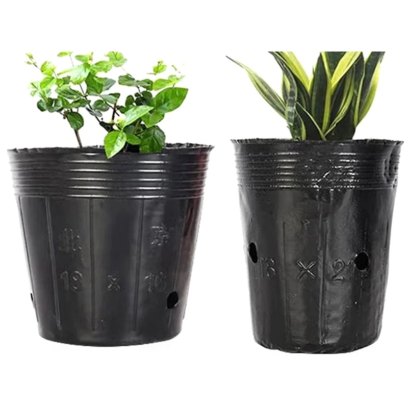 Disposable Seedling Bag/vegetable Seedling Plastic Pot /100PCS Garden Seedling Cup
Disposable Seedling Bag/vegetable Seedling Plastic Pot /100PCS Garden Seedling Cup