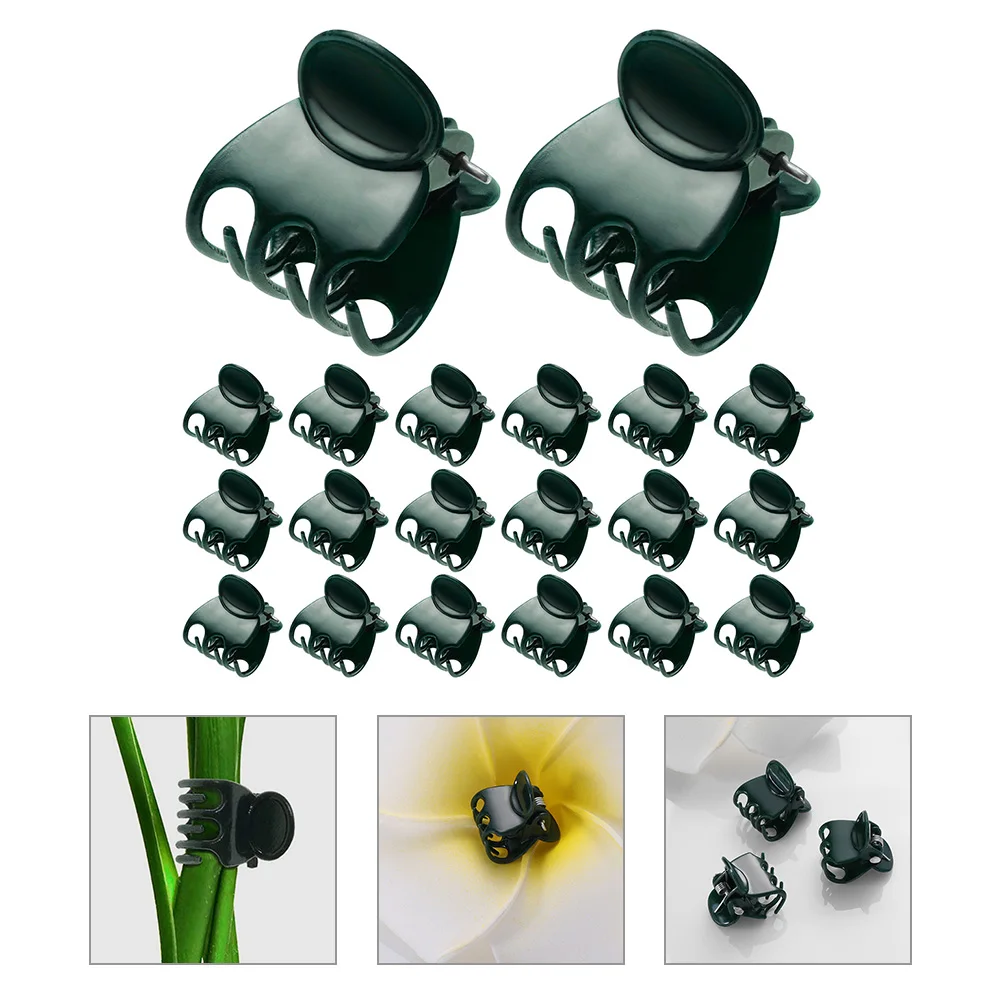 40 Pcs Plant Support Clips Gardening Rods Phalaenopsis Vine Stems Branches Plastic Garden Tools Durable Reusable Waterproof
40 Pcs Plant Support Clips Gardening Rods Phalaenopsis Vine Stems Branches Plastic Garden Tools Durable Reusable Waterproof