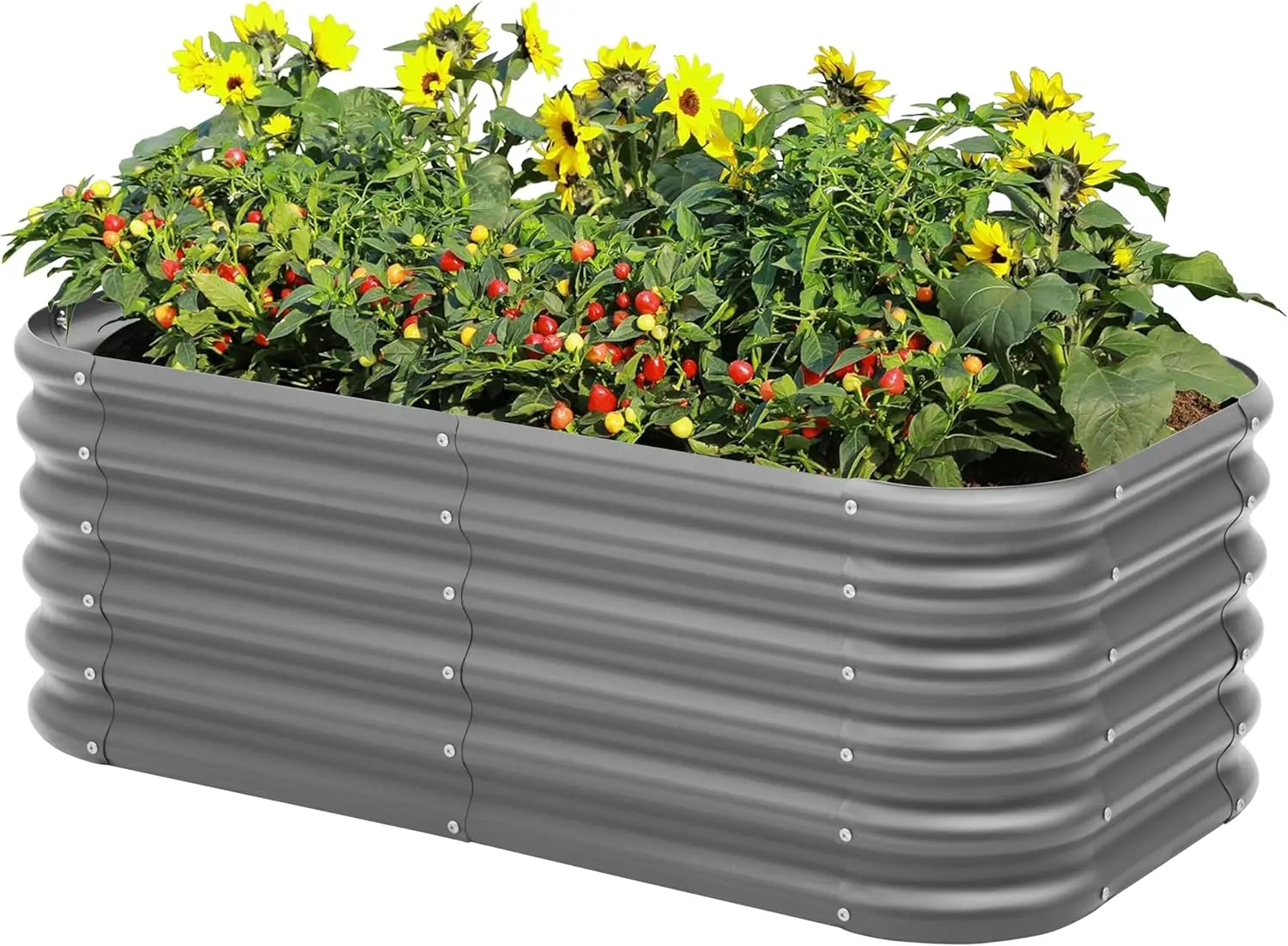Galvanized Raised Garden Bed, Outdoor Planter Bed, Metal Planter Box for Gardening and Planting,4x2x1.5ft, Dark Grey
Galvanized Raised Garden Bed, Outdoor Planter Bed, Metal Planter Box for Gardening and Planting,4x2x1.5ft, Dark Grey