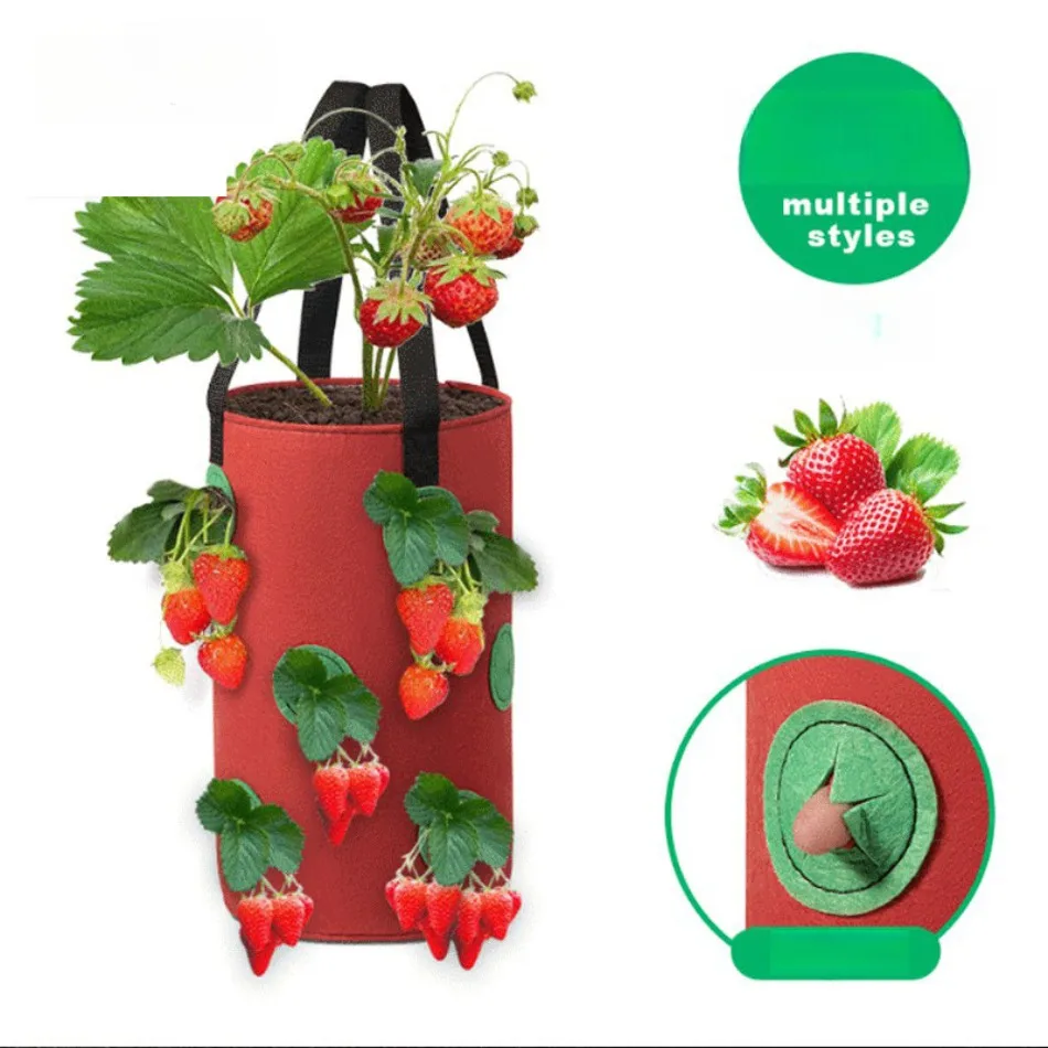 2 PCS Planter Pot 3Gallon Planting Grow Bag Hanging StrawberryNonwoven Fabric Vertical Garden Plant Vegetable Planter 12/13 Hole
2 PCS Planter Pot 3Gallon Planting Grow Bag Hanging StrawberryNonwoven Fabric Vertical Garden Plant Vegetable Planter 12/13 Hole