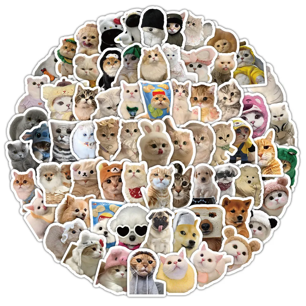 60 шт., милые реалистичные наклейки с граффити в виде кошек для велосипеда, ручной пенал, наклейки, аниме, Worlds Store
60 шт., милые реалистичные наклейки с граффити в виде кошек для велосипеда, ручной пенал, наклейки, аниме, Worlds Store