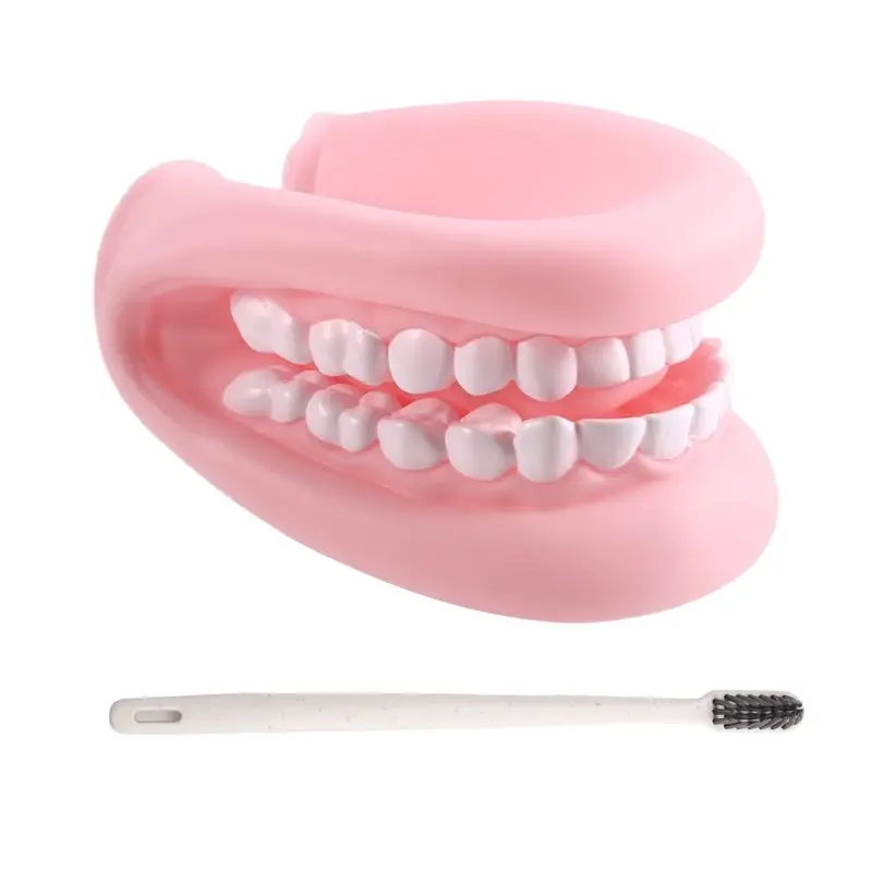 B78B-отовая кукла с языком, зубами, ручная кукла, модель рта с зубной щеткой для мальчиков и девочек, образовательный инструмент
B78B-отовая кукла с языком, зубами, ручная кукла, модель рта с зубной щеткой для мальчиков и девочек, образовательный инструмент