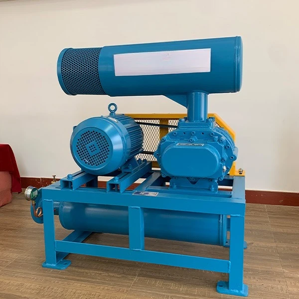 Low-energy silent roots blowers for aquaculture aeration and fish oxygenation
Low-energy silent roots blowers for aquaculture aeration and fish oxygenation