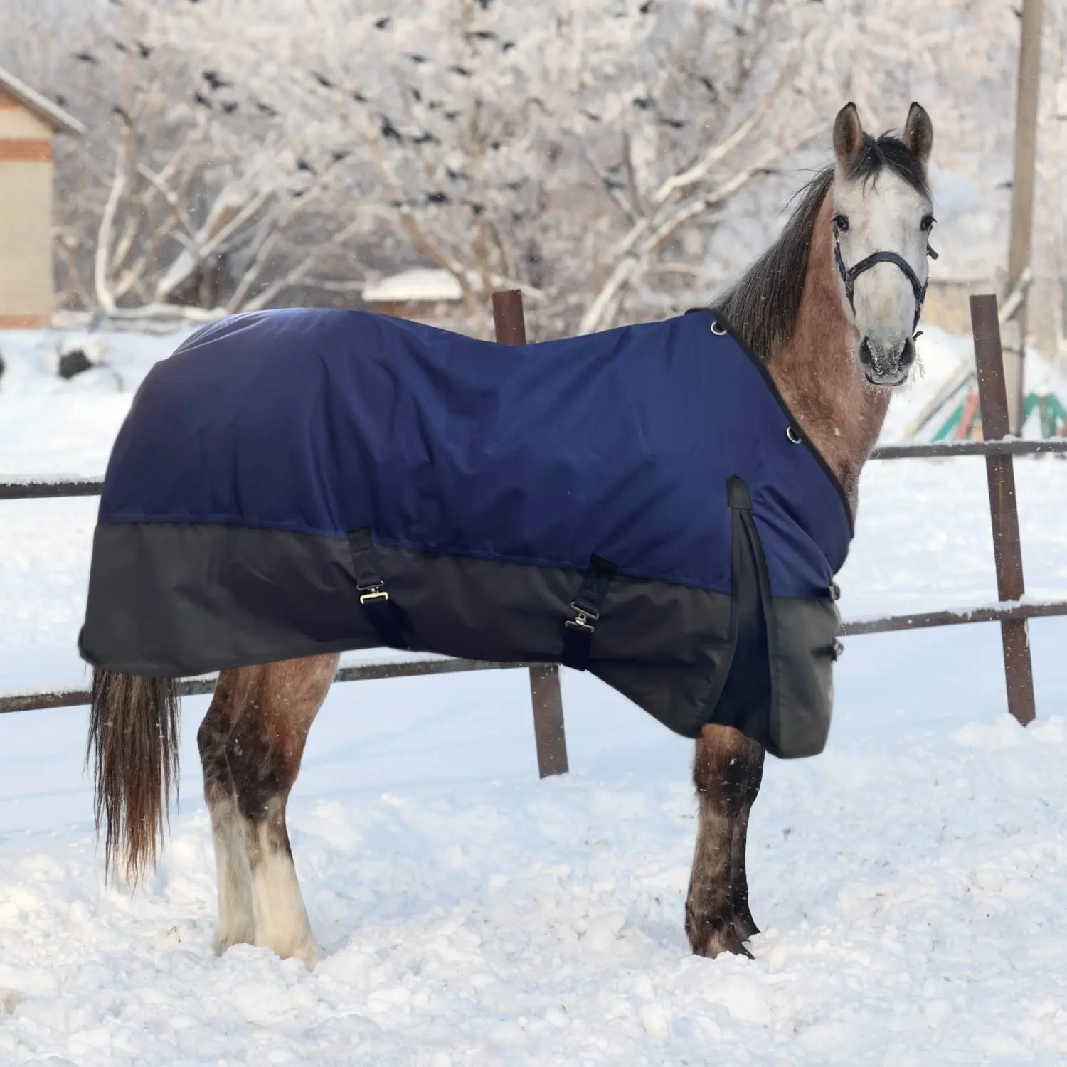 Heavy Weight Medium Weight Winter 1200D Waterproof Horse Turnout Oxford Horse Rugs
Heavy Weight Medium Weight Winter 1200D Waterproof Horse Turnout Oxford Horse Rugs