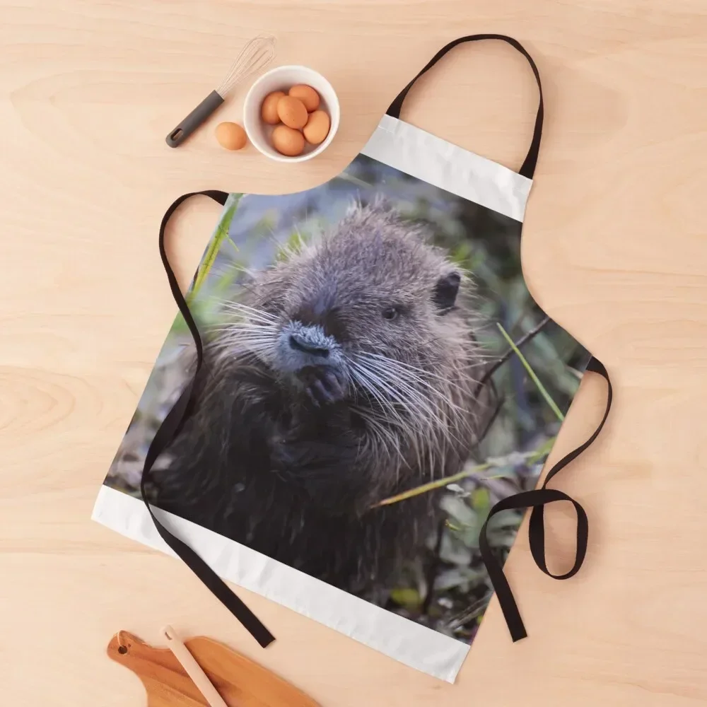 Coypu Apron Kitchen Things Cooking Kids bib Apron 
Coypu Apron Kitchen Things Cooking Kids bib Apron