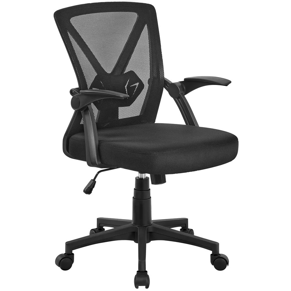 Adjustable Ergonomic Mesh Office Chair with 90° Flip-up Armrests for Home Office, Black
Adjustable Ergonomic Mesh Office Chair with 90° Flip-up Armrests for Home Office, Black