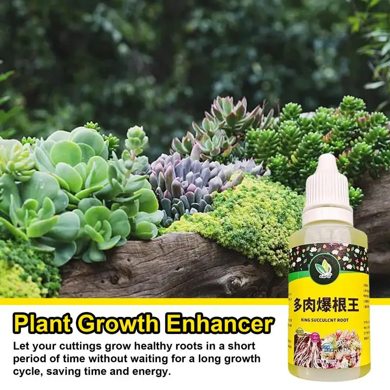 Liquid Rooting Stimulator Liquid High-Performing 50ml Rooting Starter For Plant Growth Rooting Starter And Booster Plant Growth
Liquid Rooting Stimulator Liquid High-Performing 50ml Rooting Starter For Plant Growth Rooting Starter And Booster Plant Growth