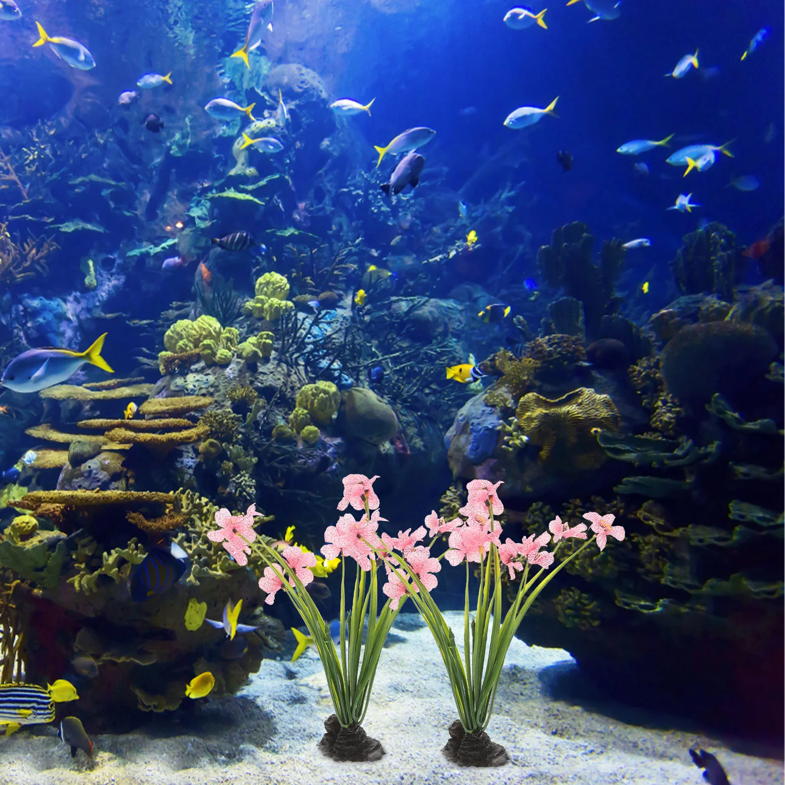 2 Pcs Hydroponic Aquatic Decoration Tank Silk Plants Freshwater Aquarium Artificial
2 Pcs Hydroponic Aquatic Decoration Tank Silk Plants Freshwater Aquarium Artificial