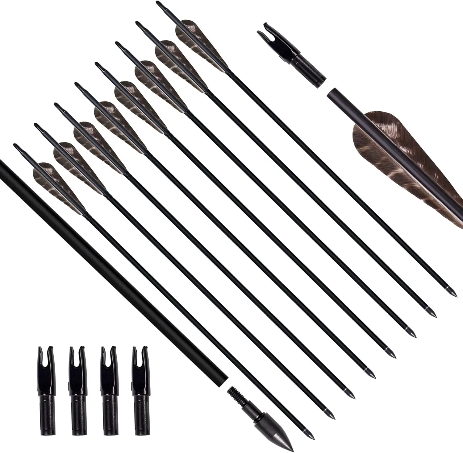 31in Carbon Arrows for Compound Recurve Bow, Removable Tips Adjustable Nocks Turkey Feather
31in Carbon Arrows for Compound Recurve Bow, Removable Tips Adjustable Nocks Turkey Feather