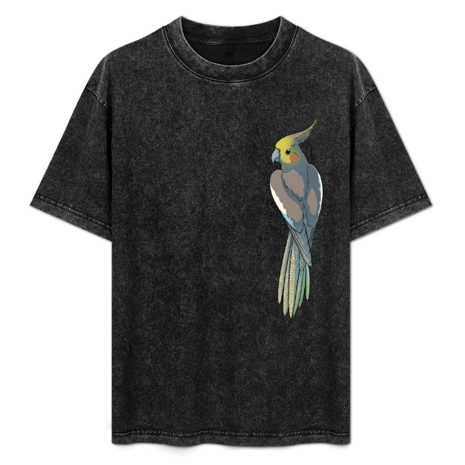 Cinnamon Female Cockatiel T-Shirt Basic All Season Solid T-Shirt
Cinnamon Female Cockatiel T-Shirt Basic All Season Solid T-Shirt