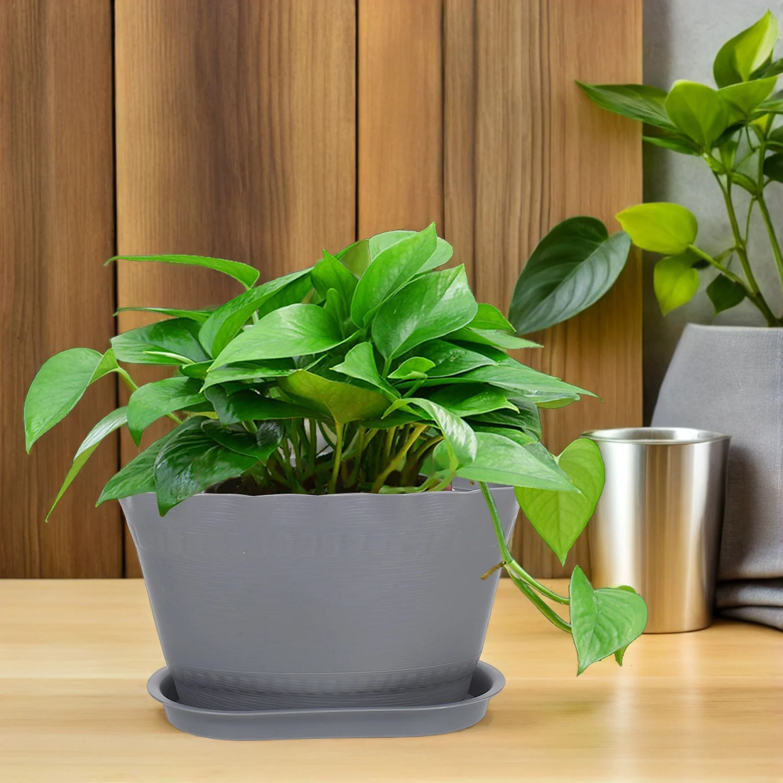 6Pcs Plastic Tabletop Planters Small Nursery Pots for Plants with Drainage Hole Ideal for Indoor Outdoor Decoration
6Pcs Plastic Tabletop Planters Small Nursery Pots for Plants with Drainage Hole Ideal for Indoor Outdoor Decoration