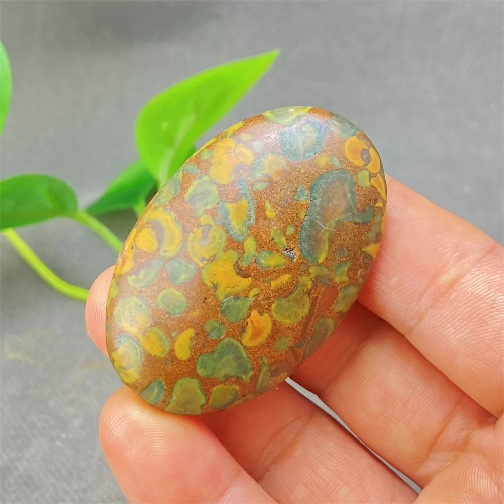 1PC Tropical Rainforest Palm Decorative Mineral Crystal Stone for Jewelry Making Unique Christmas Day Gift Decoration
1PC Tropical Rainforest Palm Decorative Mineral Crystal Stone for Jewelry Making Unique Christmas Day Gift Decoration