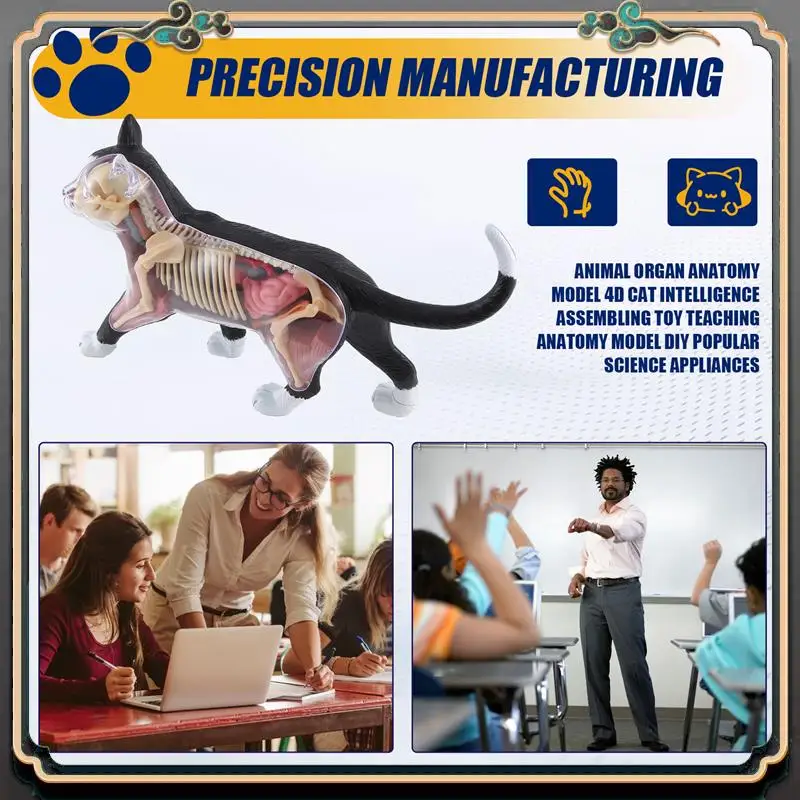 Reliable-Animal Organ Anatomy Model 4D Cat Intelligence Assembling Toy Teaching Anatomy Model DIY Popular Science Appliances
Reliable-Animal Organ Anatomy Model 4D Cat Intelligence Assembling Toy Teaching Anatomy Model DIY Popular Science Appliances