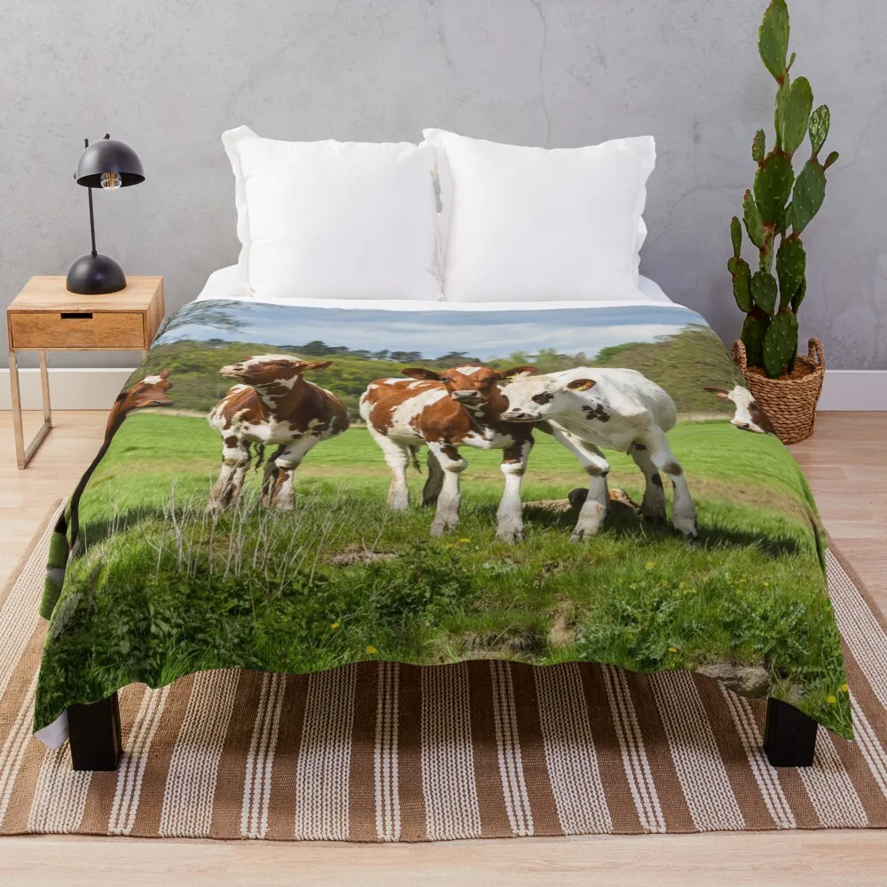 Ayrshire Cows Throw Blanket Versatile Cozy Throw Blanket for All Occasions
Ayrshire Cows Throw Blanket Versatile Cozy Throw Blanket for All Occasions