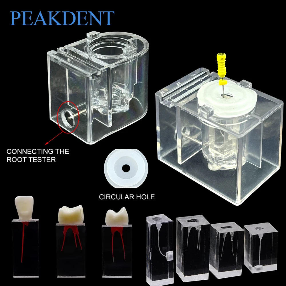 Модель для симуляции лечения корневых каналов, эндодонтические блоки для практики, инструмент для обучения эндодонтии, учебное пособие для стоматологической практики
Модель для симуляции лечения корневых каналов, эндодонтические блоки для практики, инструмент для обучения эндодонтии, учебное пособие для стоматологической практики