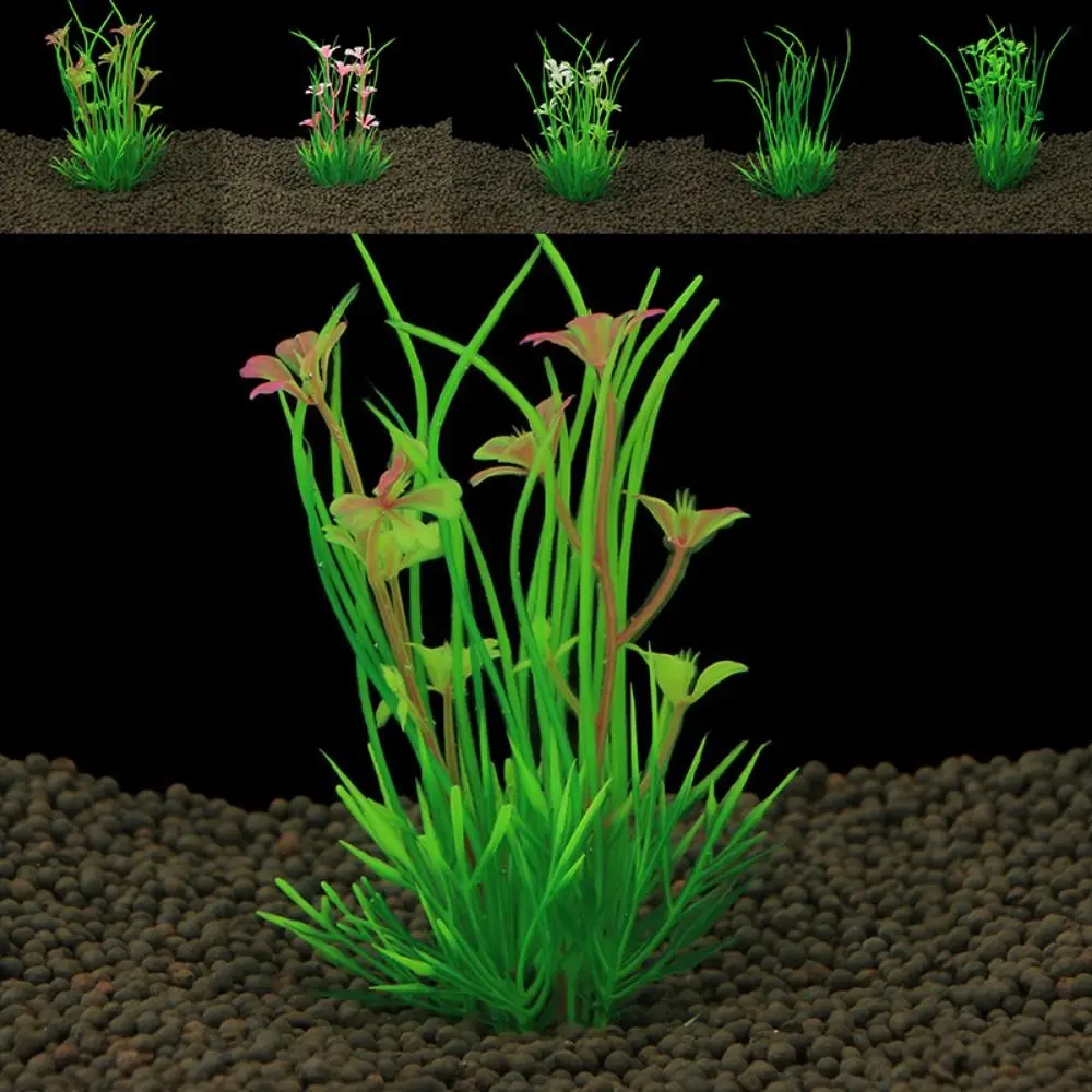 Decorative 13cm Artificial Aquarium Plants Plastic Simulation Aquatic Green Plant Green Water Weeds Ornament Aquarium
Decorative 13cm Artificial Aquarium Plants Plastic Simulation Aquatic Green Plant Green Water Weeds Ornament Aquarium