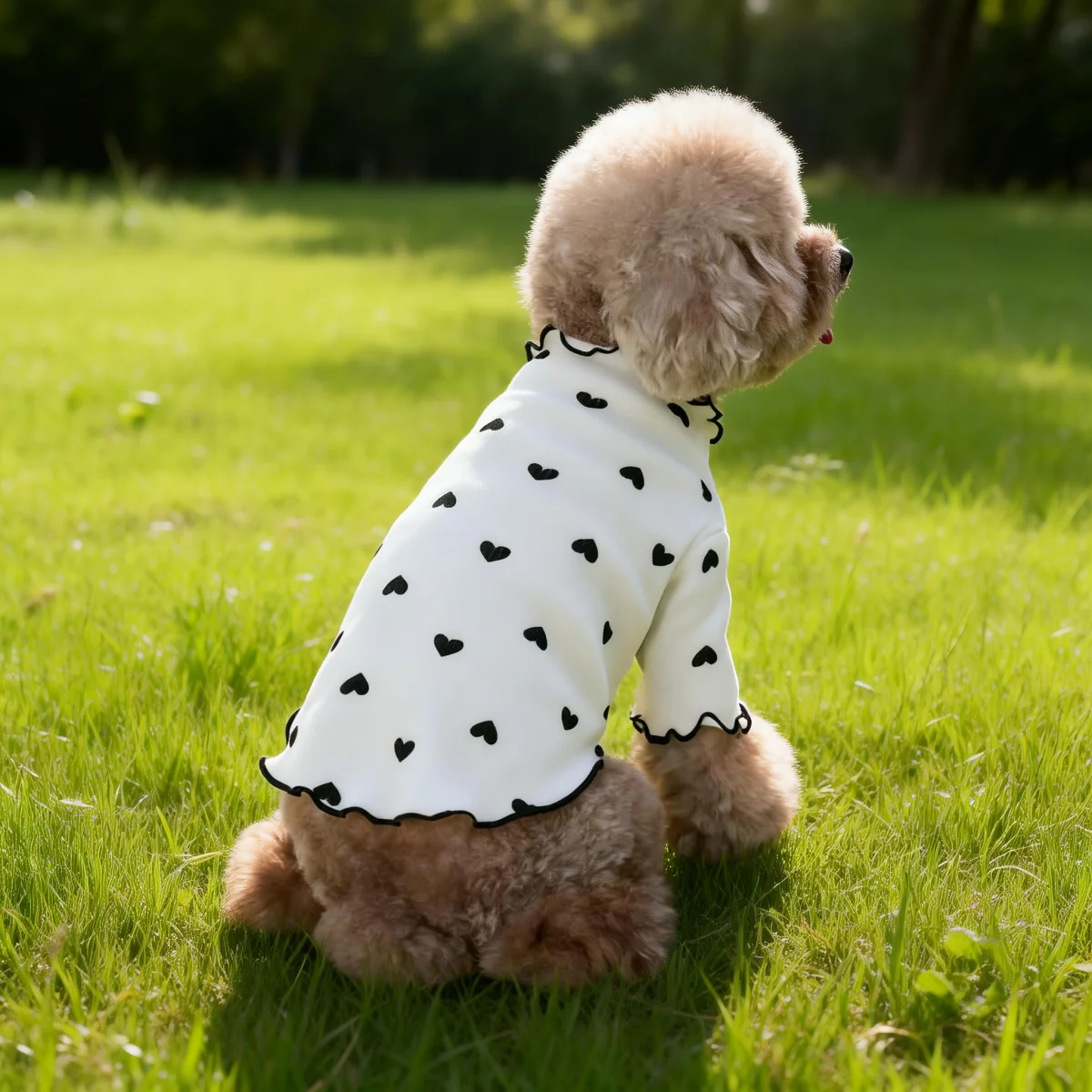 Pet T-shirt with Stretch Ribbed Heart Pattern Clothes Cute Home Vest Tshirt Suitable for Dogs and Cats
Pet T-shirt with Stretch Ribbed Heart Pattern Clothes Cute Home Vest Tshirt Suitable for Dogs and Cats
