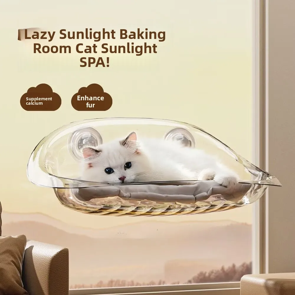 Wall-Mounted Suction Cup Bed Transparent Glass Window Hanging Basket Indoor Circular Shape House for Medium Size Dogs
Wall-Mounted Suction Cup Bed Transparent Glass Window Hanging Basket Indoor Circular Shape House for Medium Size Dogs