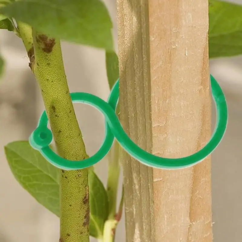 8 Word Buckle Vine Tying Clips Ring Fixing Bracket Garden Plant Holder Tools Garden Decorations Plant Climbing Wall Clips
8 Word Buckle Vine Tying Clips Ring Fixing Bracket Garden Plant Holder Tools Garden Decorations Plant Climbing Wall Clips
