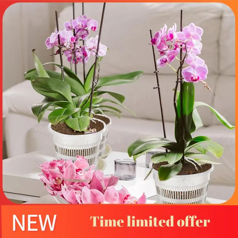 16 Pcs Orchid Pot 4.5/5.5/6/7.5 Inch Orchid Pots With Holes And Saucers Orchid Planter Pots Clear Plastic Flower Pot Easy To Use
16 Pcs Orchid Pot 4.5/5.5/6/7.5 Inch Orchid Pots With Holes And Saucers Orchid Planter Pots Clear Plastic Flower Pot Easy To Use