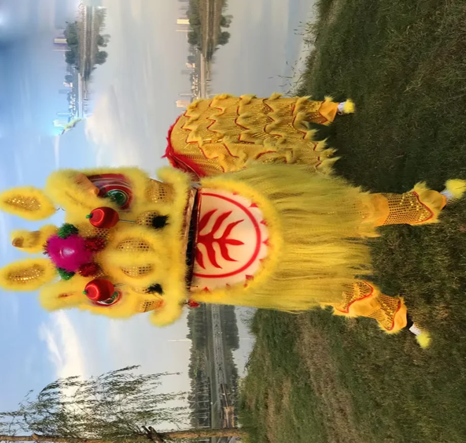 Костюмы льва для взрослых, танцевальный костюм китайского льва, традиционный школьный карнавальный костюм
Костюмы льва для взрослых, танцевальный костюм китайского льва, традиционный школьный карнавальный костюм