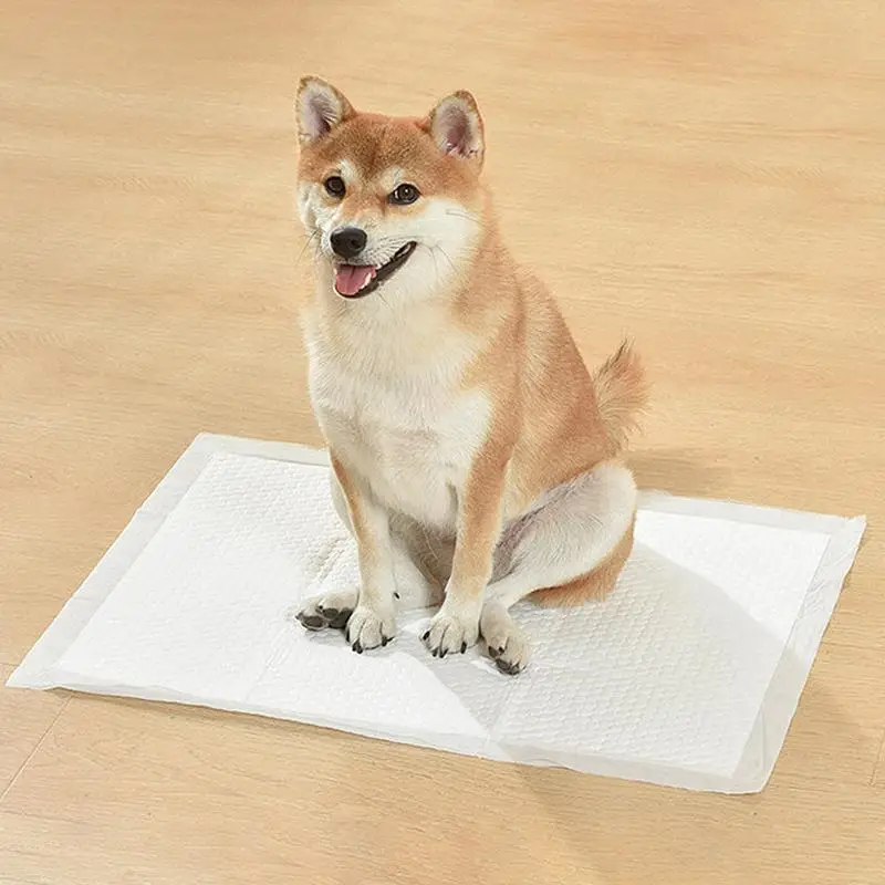 Pee Pads For Dogs 100 PCS Super Absorbent Pet Training Pads Potty Pads For Dogs Floor Pee Protector Leakproof Pet Diaper Pads
Pee Pads For Dogs 100 PCS Super Absorbent Pet Training Pads Potty Pads For Dogs Floor Pee Protector Leakproof Pet Diaper Pads