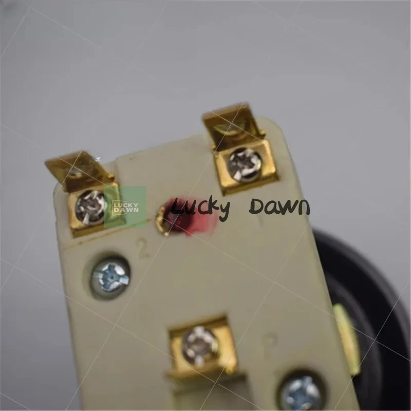 Pizza oven thermostat, rotary temperature controller, high-temperature 500-degree electric oven thermostat switch
Pizza oven thermostat, rotary temperature controller, high-temperature 500-degree electric oven thermostat switch