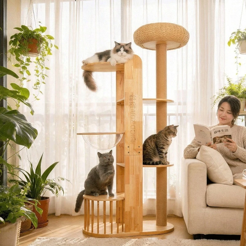Nordic High-End Cat Tree with Capsule Space Saving Large Cat Scratcher Solid Wood Furniture & Scratchers casitas para gatos FYCT
Nordic High-End Cat Tree with Capsule Space Saving Large Cat Scratcher Solid Wood Furniture & Scratchers casitas para gatos FYCT