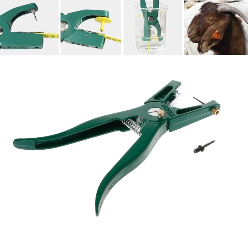 Ear Tag Pliers Green Steel Livestock Animal Ear Tag Pliers 90 Degrees Applicator Puncher Tagger for Installing Tags
Ear Tag Pliers Green Steel Livestock Animal Ear Tag Pliers 90 Degrees Applicator Puncher Tagger for Installing Tags
