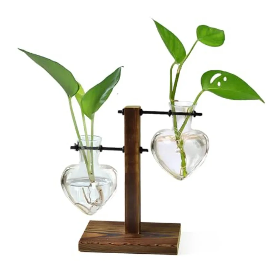 Plant Terrarium Wooden Stand, Hydroponic Planter Bulb Glass Metal Swivel Holder Retro Air Plants Water Plants for Home Office D
Plant Terrarium Wooden Stand, Hydroponic Planter Bulb Glass Metal Swivel Holder Retro Air Plants Water Plants for Home Office D