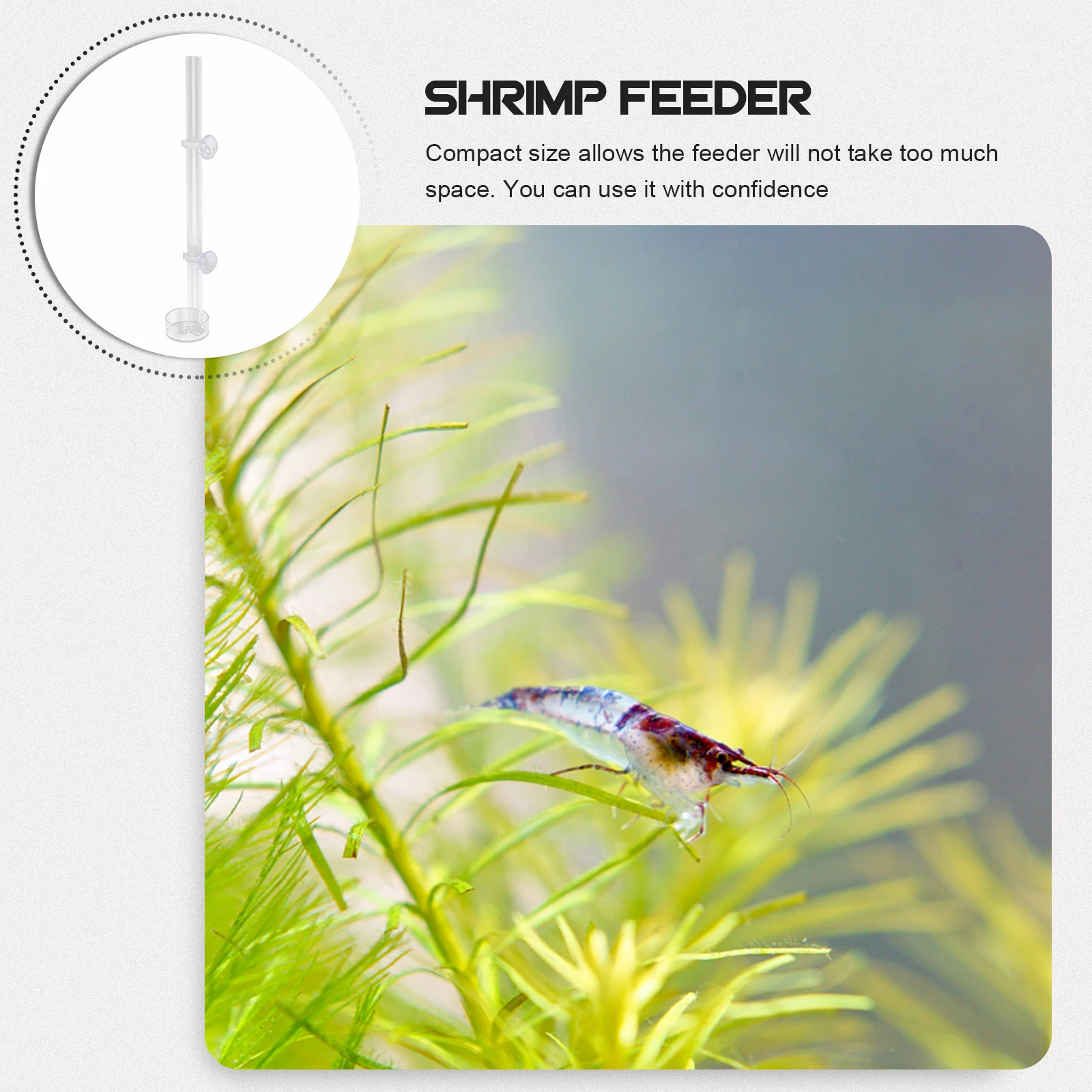 Shrimp Feeding Tube Clear Acrylic Food Holder Aquarium Fish Feeder Suction Cup Shrimp Feeder Tube Transparent Feeding Tool Pet
Shrimp Feeding Tube Clear Acrylic Food Holder Aquarium Fish Feeder Suction Cup Shrimp Feeder Tube Transparent Feeding Tool Pet