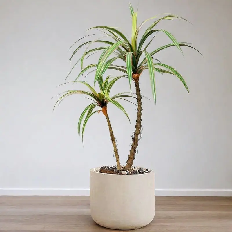 2PCS Artificial Desktop Plants Fake Bluegrass Hotel Party Home Decor Accessories
2PCS Artificial Desktop Plants Fake Bluegrass Hotel Party Home Decor Accessories