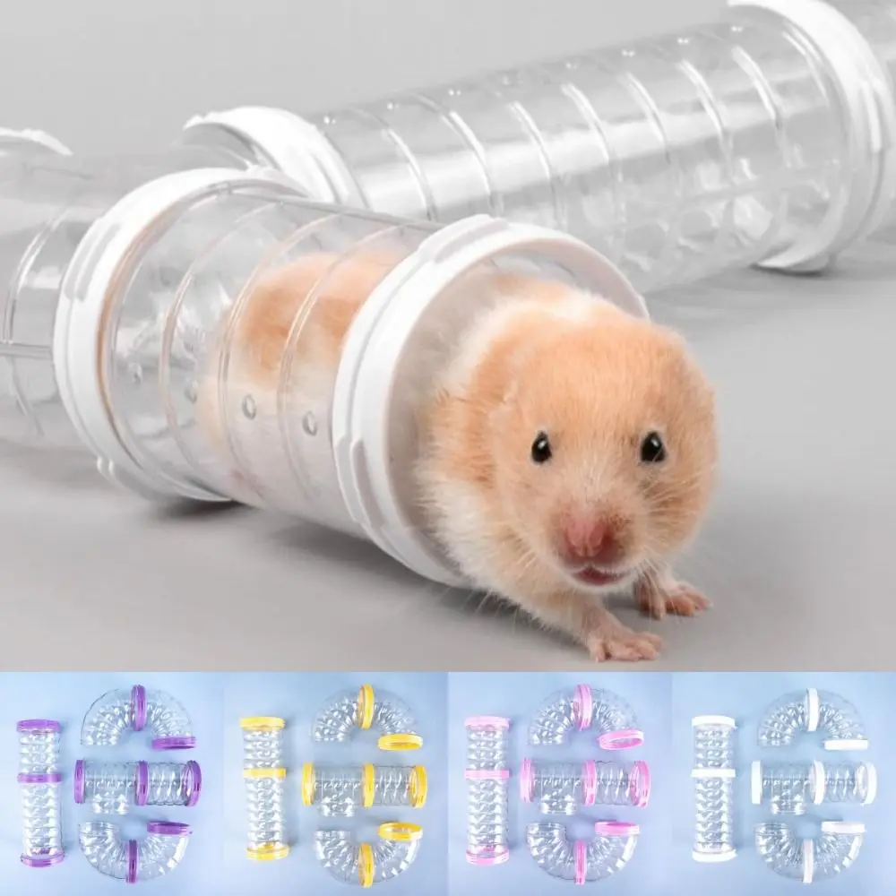 Hamster Coop External Pipelines Randomly Spliced Clear Hamster Cage Pipes Landscape Design 5.5cm Guinea Pig Movement Tunnel
Hamster Coop External Pipelines Randomly Spliced Clear Hamster Cage Pipes Landscape Design 5.5cm Guinea Pig Movement Tunnel