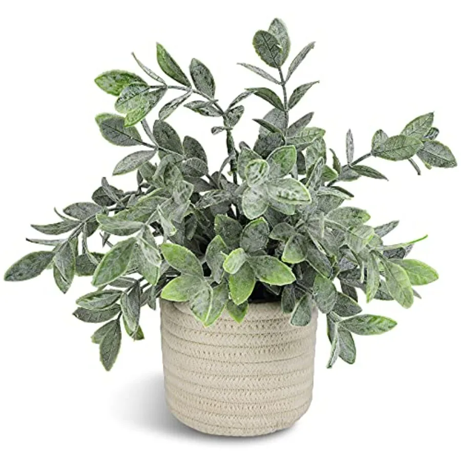 Faux Plants, Small Fake Plant for Bathroom, Decorative Artificial Plants for Farmhouse Desk Shelf Decor with A Weave Basket 9.8
Faux Plants, Small Fake Plant for Bathroom, Decorative Artificial Plants for Farmhouse Desk Shelf Decor with A Weave Basket 9.8