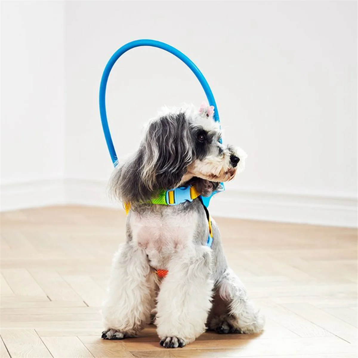 ABXHH Blind Dog Adjustable Pet Anti-Collision Circle Harness Guiding Device L
ABXHH Blind Dog Adjustable Pet Anti-Collision Circle Harness Guiding Device L