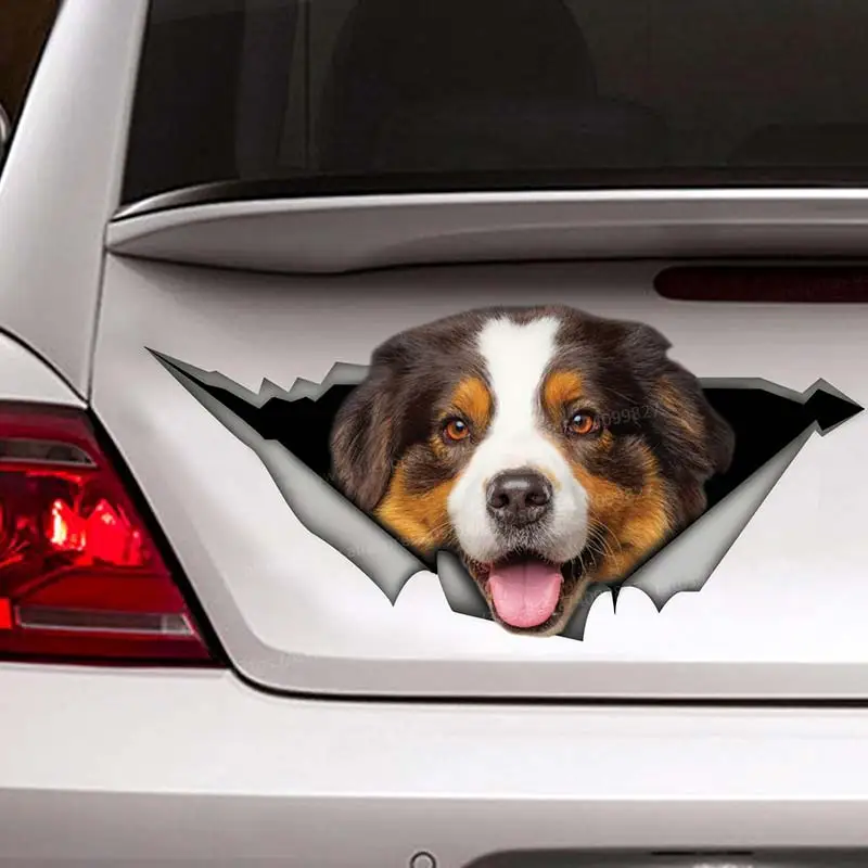 Australian Shepherd Pet Dog Car Sticker Waterproof Vinyl Decal on Bumper Rear Window Laptop Decal For Car Accessories SH121
Australian Shepherd Pet Dog Car Sticker Waterproof Vinyl Decal on Bumper Rear Window Laptop Decal For Car Accessories SH121
