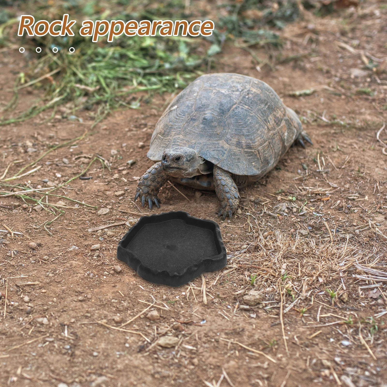 Multifunctional Feeder Natural Resin Terrarium Stable Base Easy Clean Reusable Pet Feeding For Turtle Lizard Gecko
Multifunctional Feeder Natural Resin Terrarium Stable Base Easy Clean Reusable Pet Feeding For Turtle Lizard Gecko