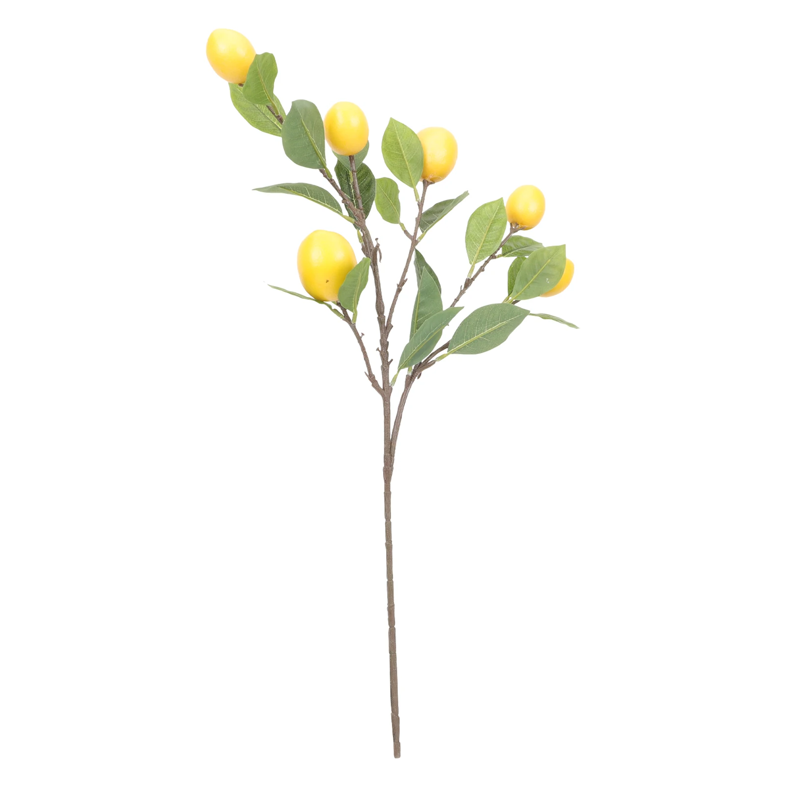 Lifelike Plastic Lemon Branch Fake Plant For Home Vase Decor Diy Flower Arrangement Bright Odorless Environment
Lifelike Plastic Lemon Branch Fake Plant For Home Vase Decor Diy Flower Arrangement Bright Odorless Environment